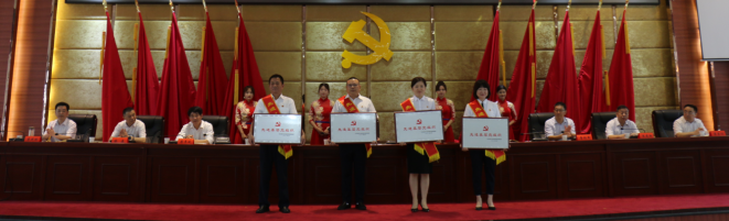 邵阳市自然资源和规划局召开庆祝建党100周年暨“两优一先”表彰大会(图1)