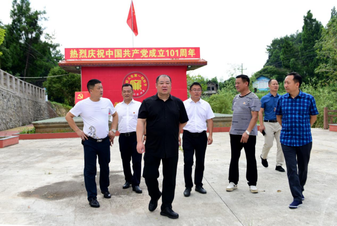何育新督导调研乡村振兴工作(图1)