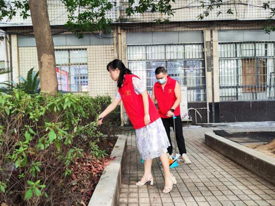 深化党员志愿服务 全面助力创文攻坚(图5)