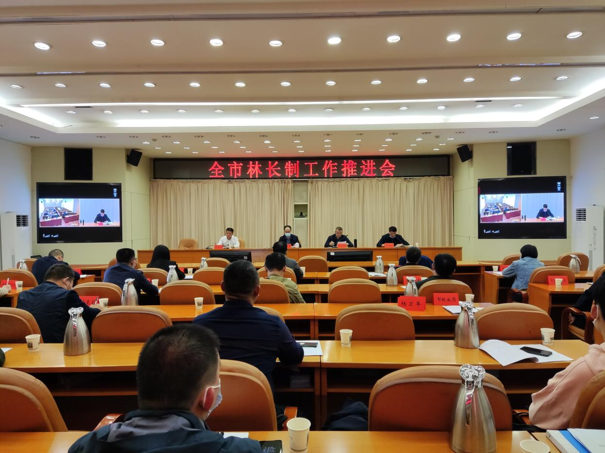 邵阳市召开邵阳市林长制工作推进会(图1)