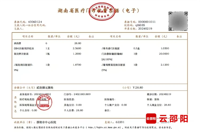 邵阳市成功开具首张医疗收费电子票据(图1)