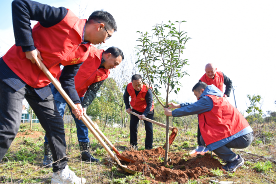 邵阳市退役军人事务局开展2024年 “相约春天 共植希望”义务植树活动(图3)