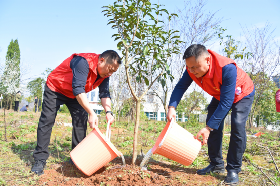 邵阳市退役军人事务局开展2024年 “相约春天 共植希望”义务植树活动(图1)
