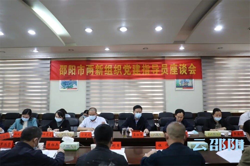邵阳市委两新工委召开邵阳市两新组织党建指导员座谈会_邵阳头条网