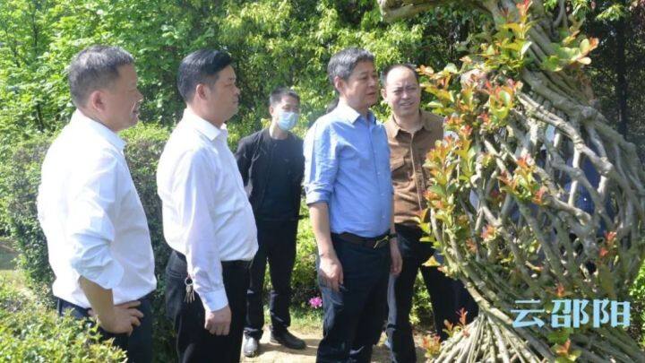 严华在双清区调研生态环境保护、乡村振兴等工作_邵阳头条网