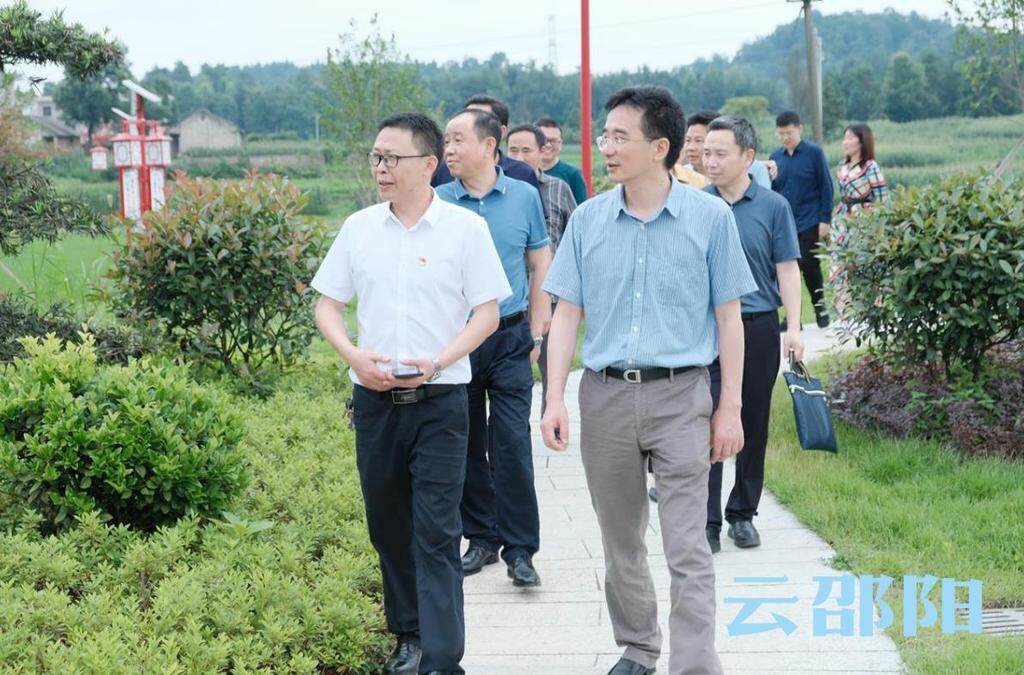 周文在武冈市调研乡村振兴和防汛备汛等工作_邵阳头条网