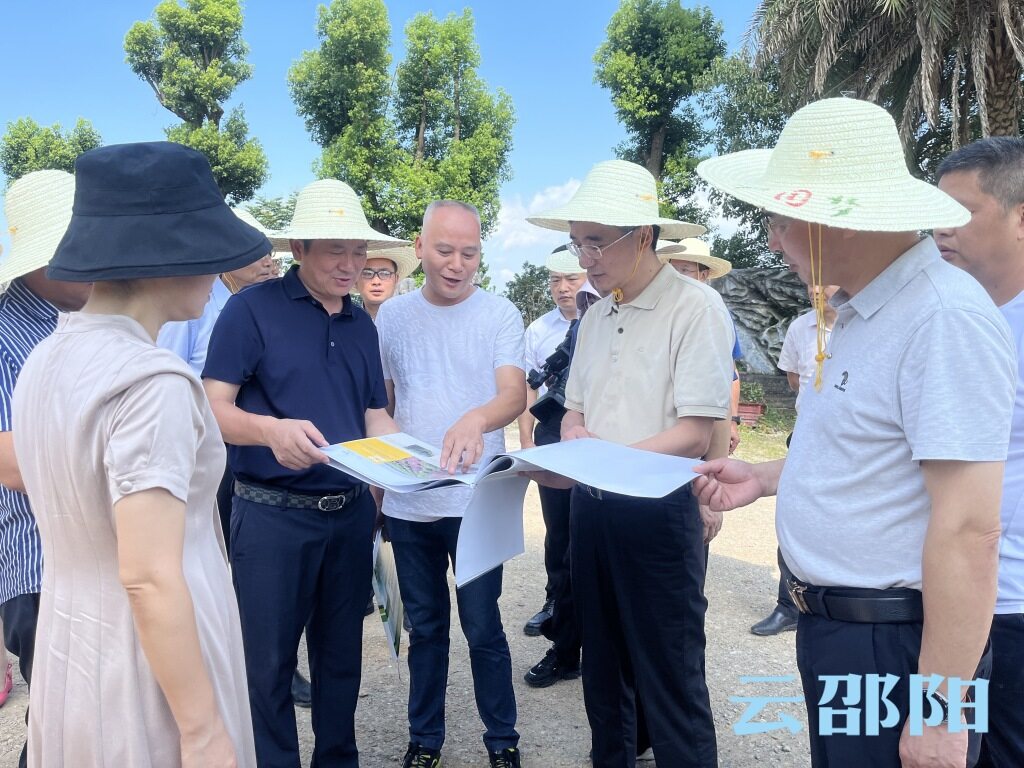 周文到大祥区调研乡村振兴工作_邵阳头条网