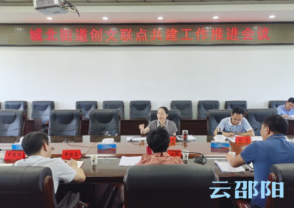 仇珂静专题调度大祥区城北街道“创文”联点共建工作_邵阳头条网