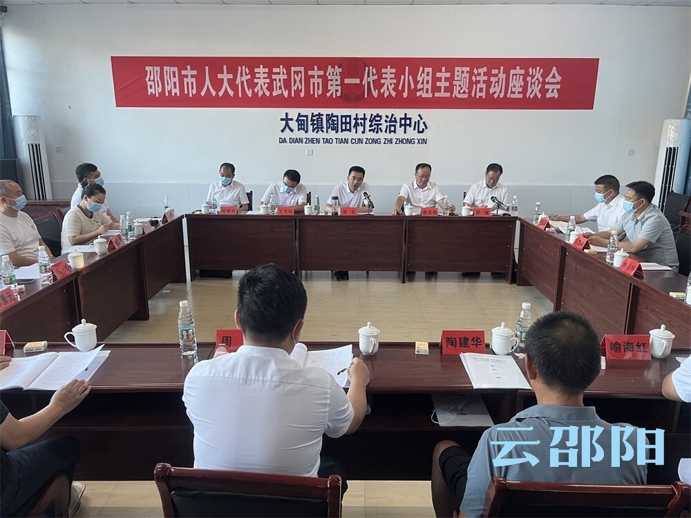 周文在武冈参加市人大代表小组主题活动并督导调研政协委员工作室建设、社会治理六项重点工作_邵阳头条网
