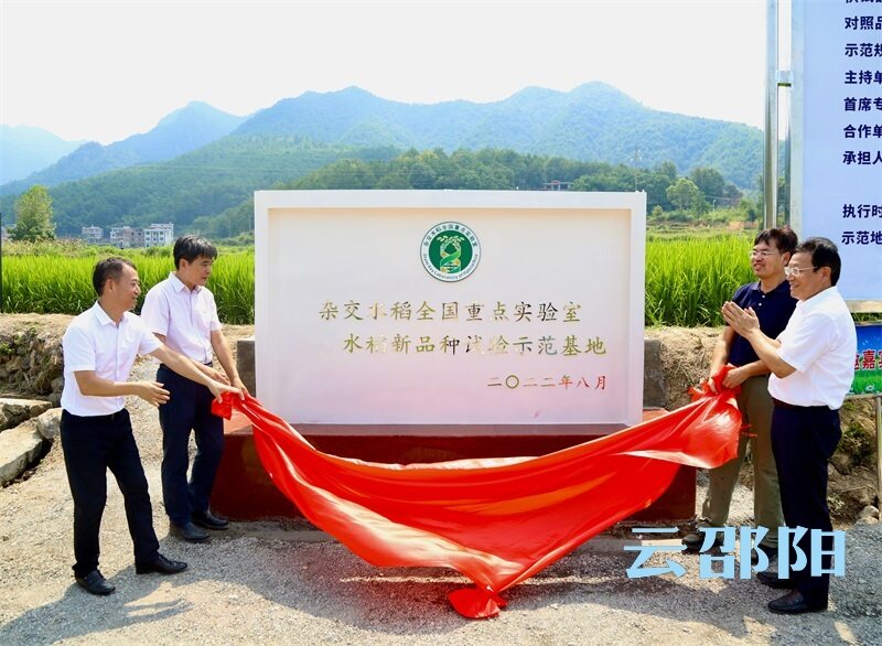 中国“两院”院士专家来邵指导农业种业发展工作_邵阳头条网