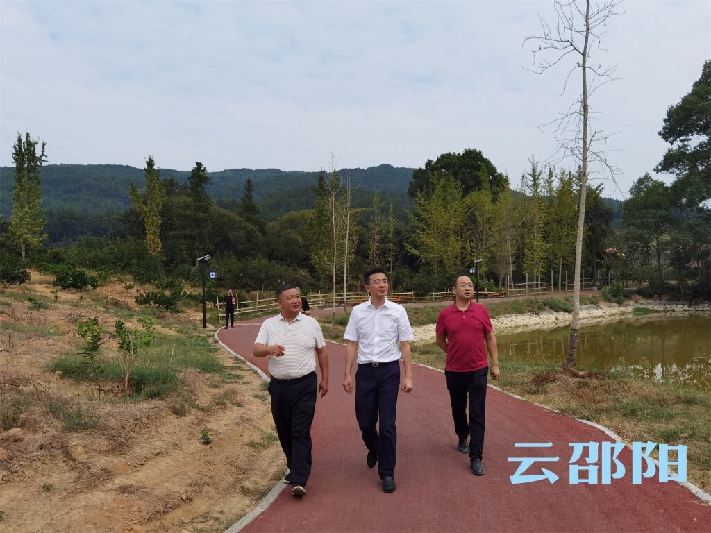 ​周文到新宁调研指导旅发大会筹备工作_邵阳头条网