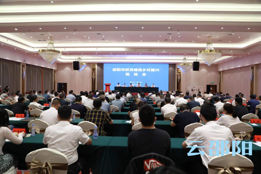 邵阳市抓党建促乡村振兴现场会在邵阳县召开_邵阳头条网