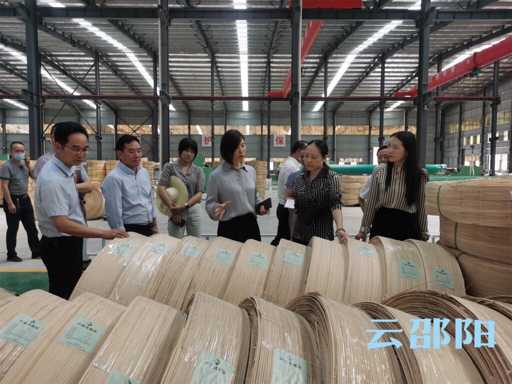 仇珂静到四县市督导重点项目和“五好”园区建设等工作_邵阳头条网