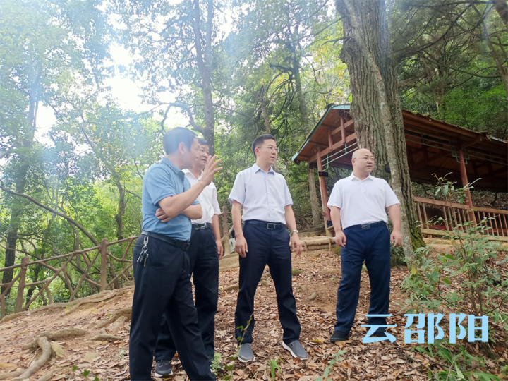 龚红果到绥宁县巡林并进行重点工作督导_邵阳头条网