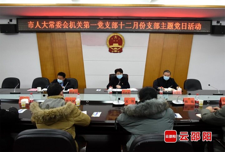 周迎春以普通党员身份参加所在党支部主题党日和“一课一片一实践”活动_邵阳头条网