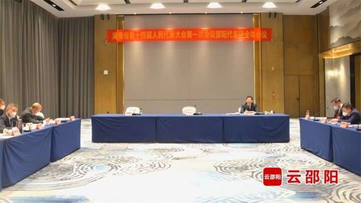 直通省两会｜省十四届人大一次会议邵阳代表团审议各项决议草案_邵阳头条网