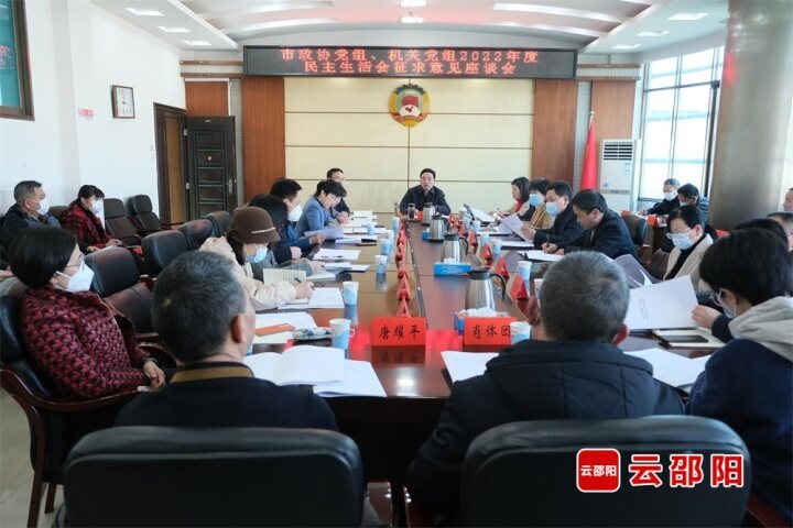 市政协召开民主生活会会前征求意见座谈会_邵阳头条网