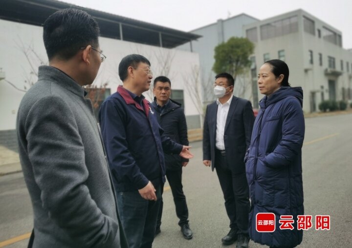 仇珂静到邵阳经开区部分重点企业、项目走访调研_邵阳头条网