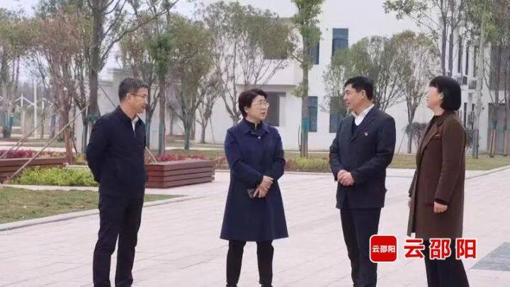 周迎春到新宁督导调研并开展“五大”主题实践活动_邵阳头条网