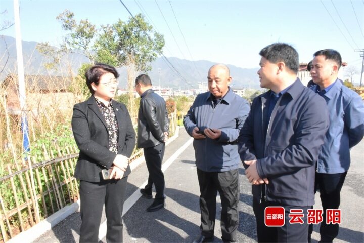 周迎春到新邵县督导调研并开展“五大”主题实践活动_邵阳头条网