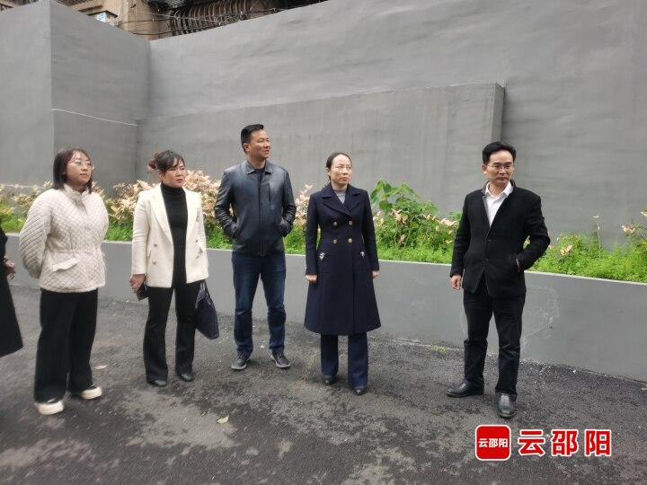 仇珂静到大祥区北正街社区督导创文工作_邵阳头条网