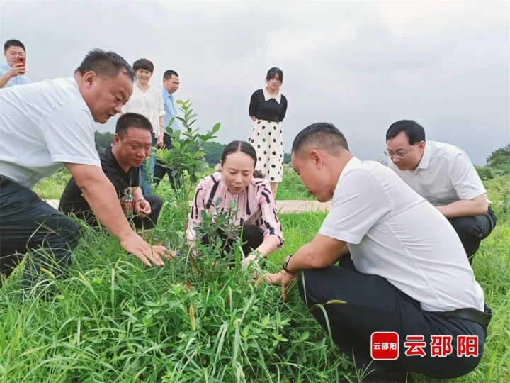 仇珂静到北塔区调研市级科技计划项目_邵阳头条网
