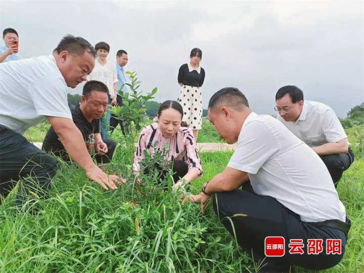 仇珂静到北塔区调研市级科技计划项目_邵商网