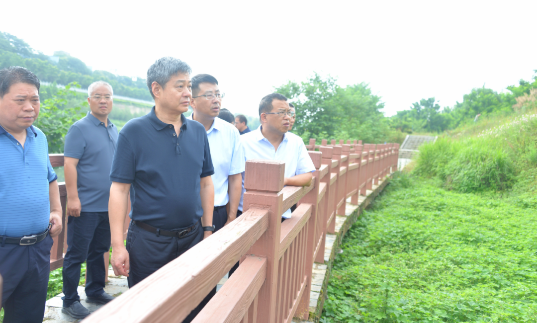 严华在邵阳市区暗访督导生态环境保护工作_邵阳头条网