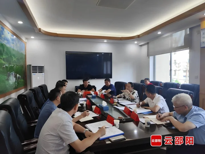 仇珂静专题调度数字经济产业链建设工作_邵阳头条网