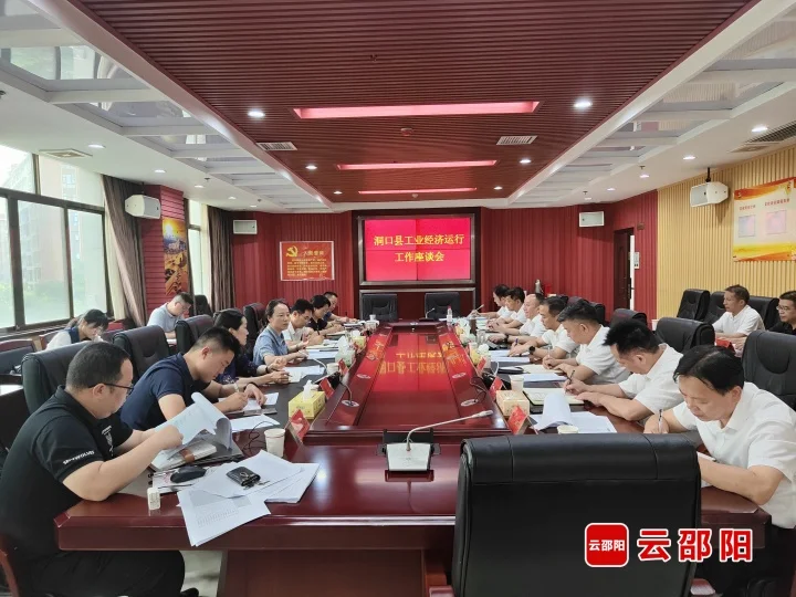 仇珂静到洞口县调研工业经济运行工作_邵阳头条网