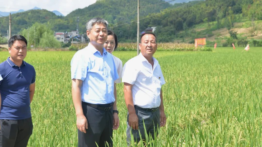 严华到城步苗族自治县调研乡村振兴工作_邵阳头条网