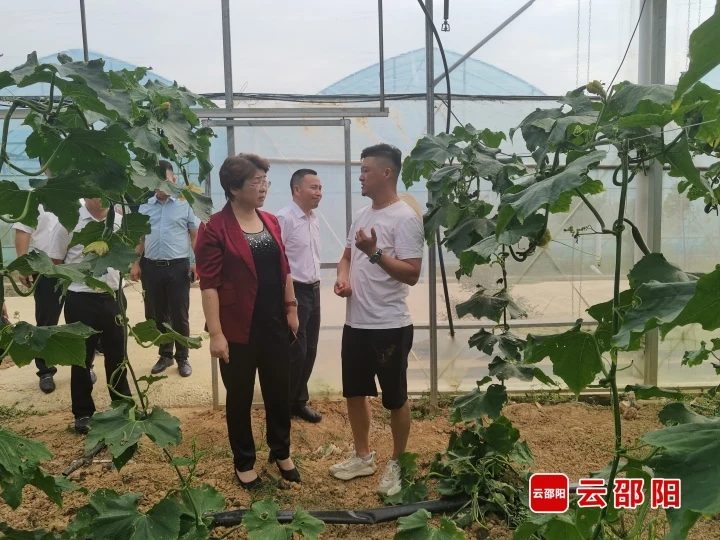周迎春率队赴双清区调研乡村振兴工作_邵阳头条网