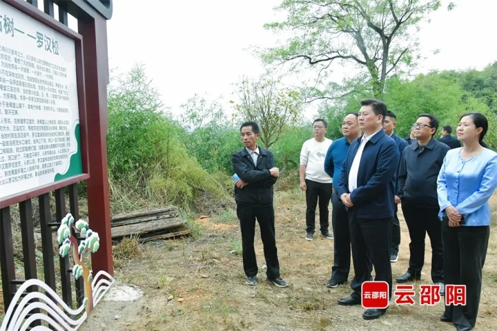 李长跃开展巡林巡河及道路交通安全督导工作_邵阳头条网