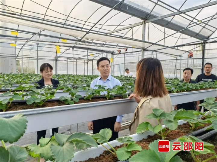 龚红果到绥宁县调研组织统战工作并开展巡林督导_邵阳头条网