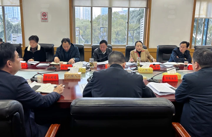 市委农村工作领导小组2024年第1次会议召开_邵阳头条网