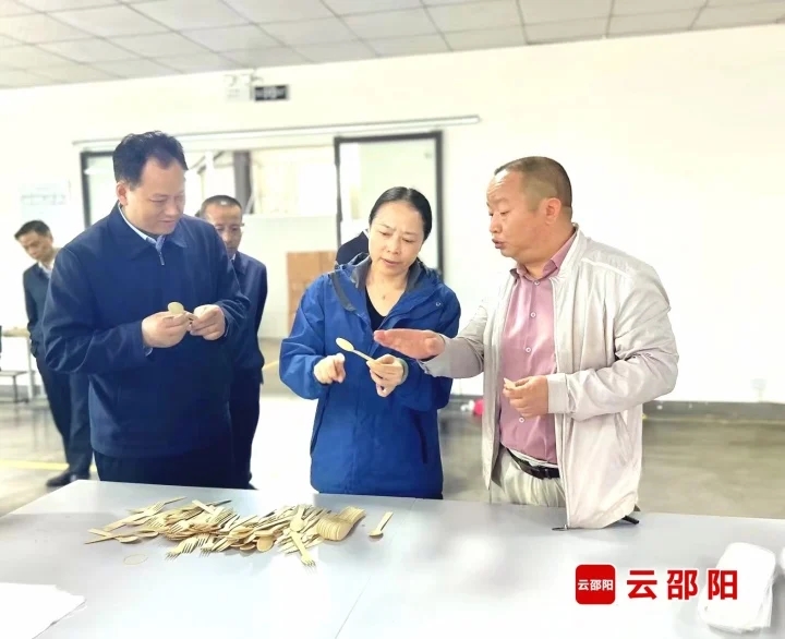 仇珂静到城步苗族自治县、武冈市调研(图1)