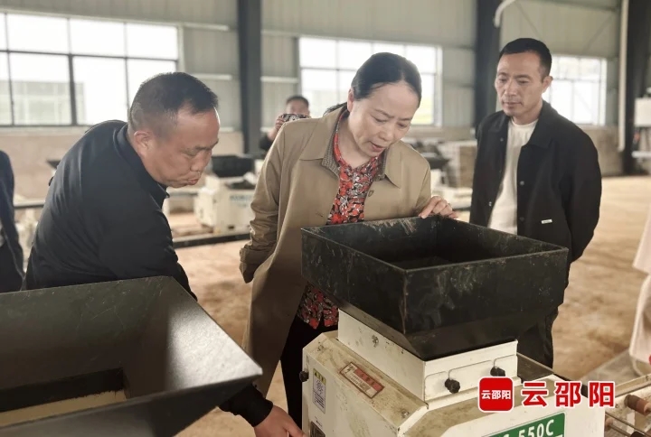 仇珂静调研春耕备耕工作(图1)