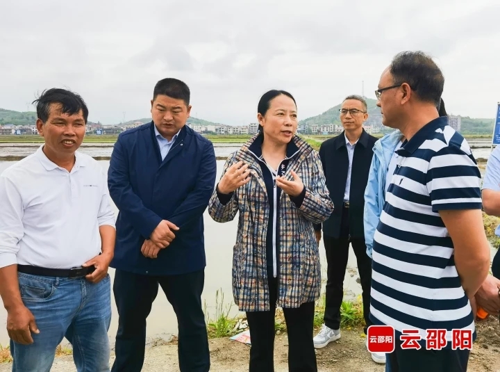 仇珂静到武冈市、洞口县调研(图1)
