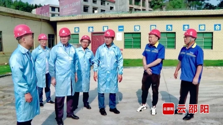 龚红果到洞口县调研督导当前重点工作(图2)