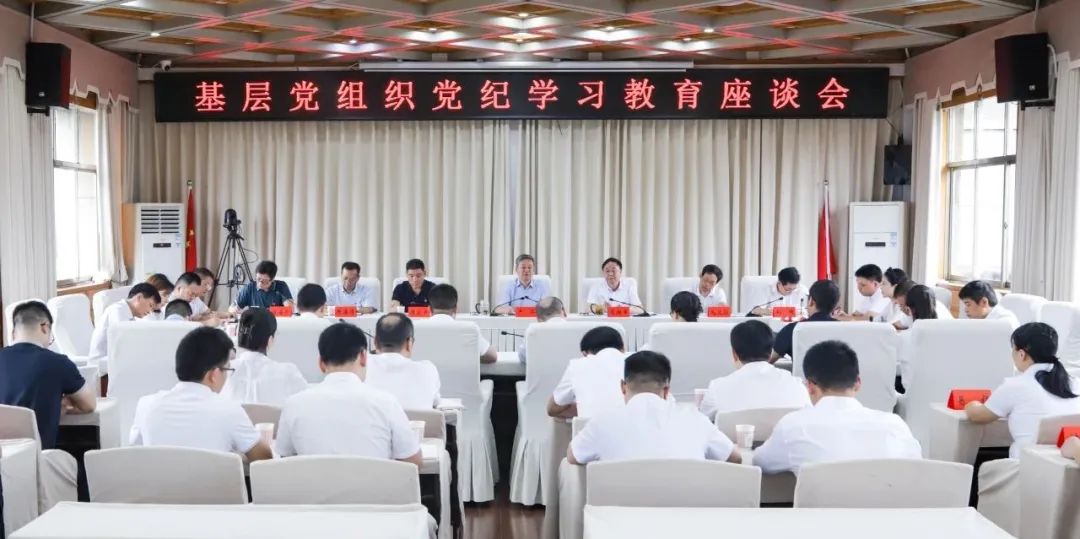严华参加基层党组织党纪学习教育座谈会(图1)