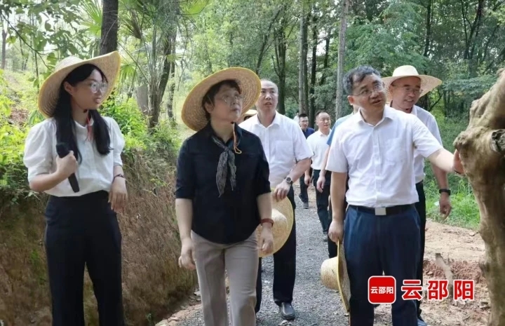 周迎春以邵阳市人大代表身份参加邵阳市人大代表小组主题活动(图1)