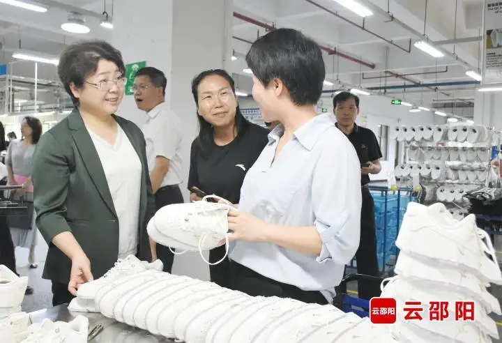 周迎春赴隆回开展执法检查和专项监督调研(图1)