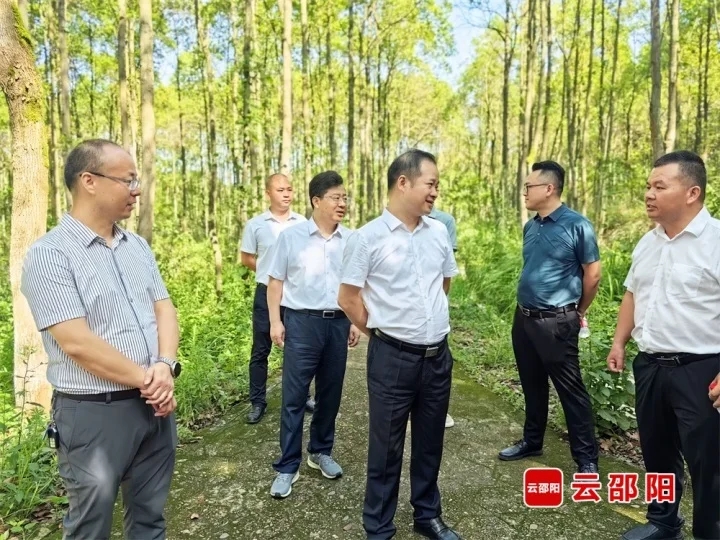 贺源到双清区督导林长制工作落实(图1)