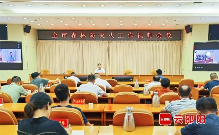 邵阳市森林防灭火工作视频会议召开(图1)