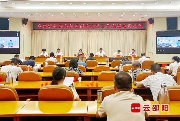邵阳市深化集体林权制度改革工作电视电话会议召开(图1)
