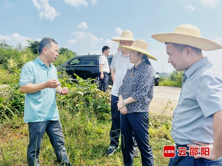仇珂静到武冈调研并开展巡林工作(图1)