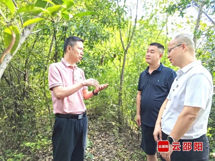 胡小刚到邵阳经开区开展巡林工作(图1)