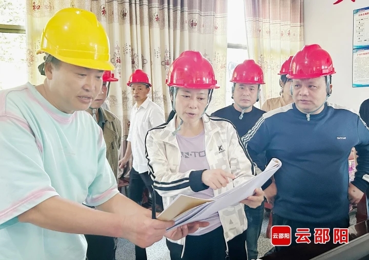 仇珂静到大圳灌区调研水利工程建设管理工作(图2)