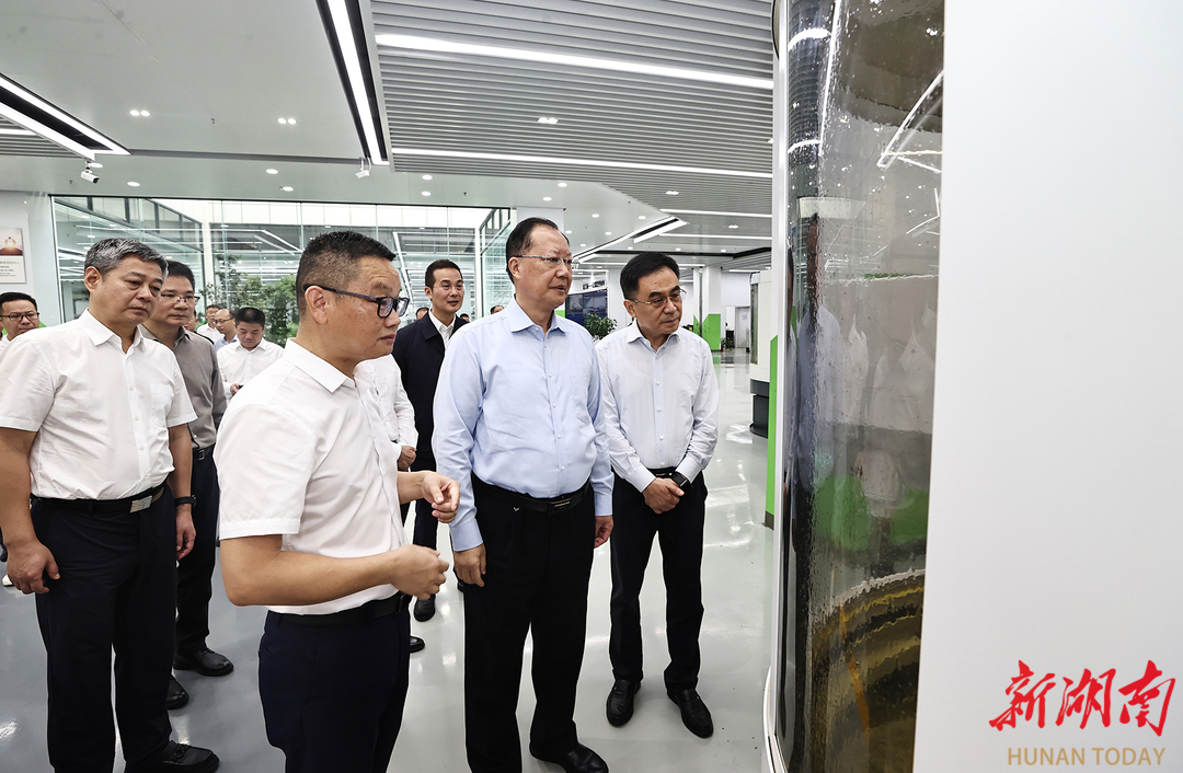 毛伟明在邵阳调研“八大行动”及“两重”“两新”工作(图1)