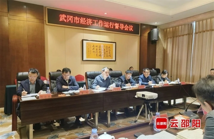 易洪海到武冈市专项督导经济运行工作情况(图1)